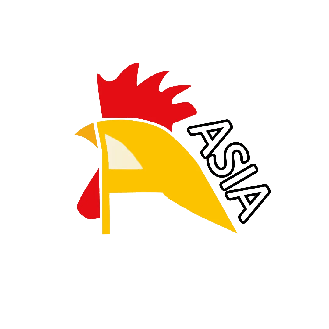 Asian chicken